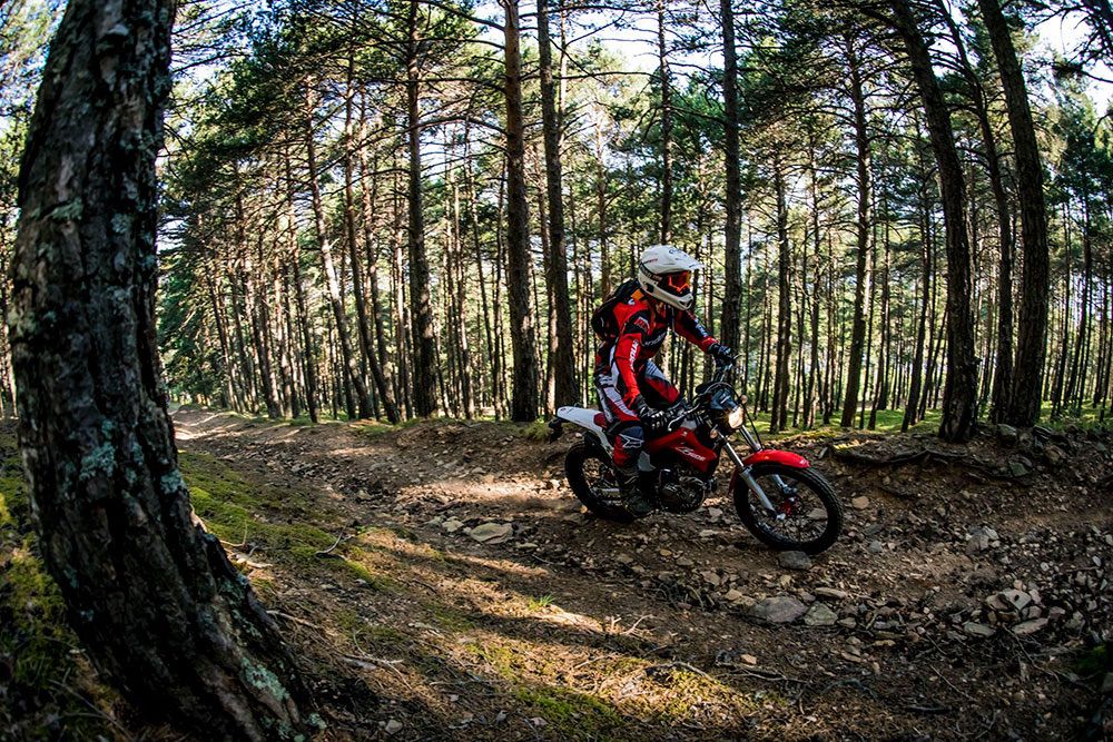 Montesa 4Ride