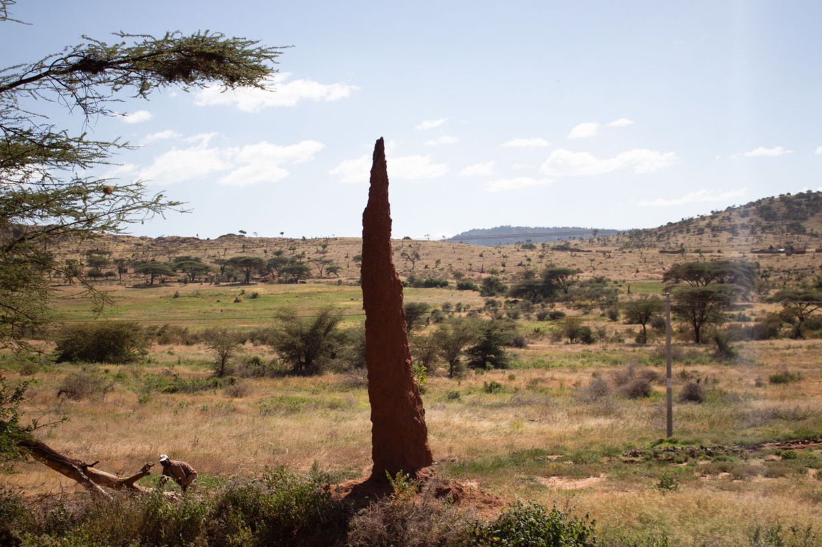 Enormes termiteros en nuestro viaje por Kenia y Tanzania