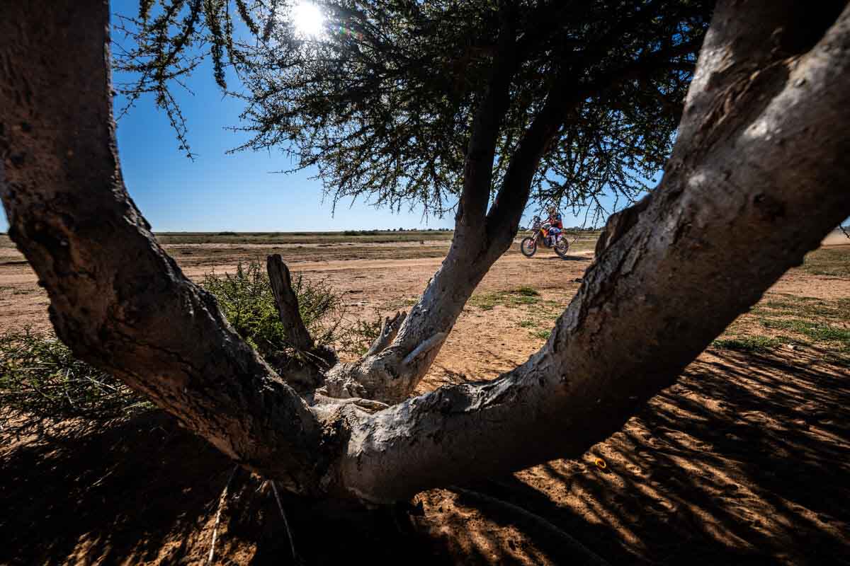Tercera victoria seguida para Edgar Canet en el Rally de Sudáfrica