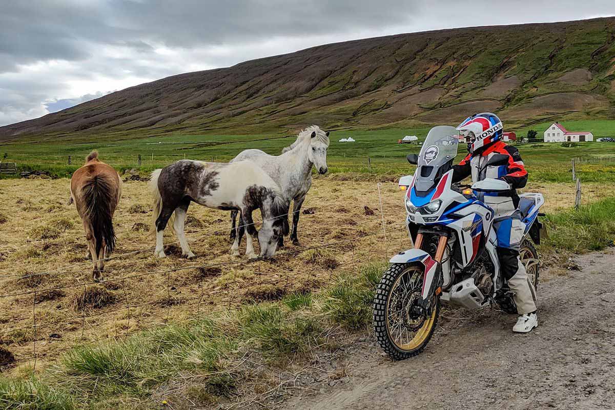 Honda prepara una fiesta Trail por todo lo alto: así será el Adventure Camp 2026