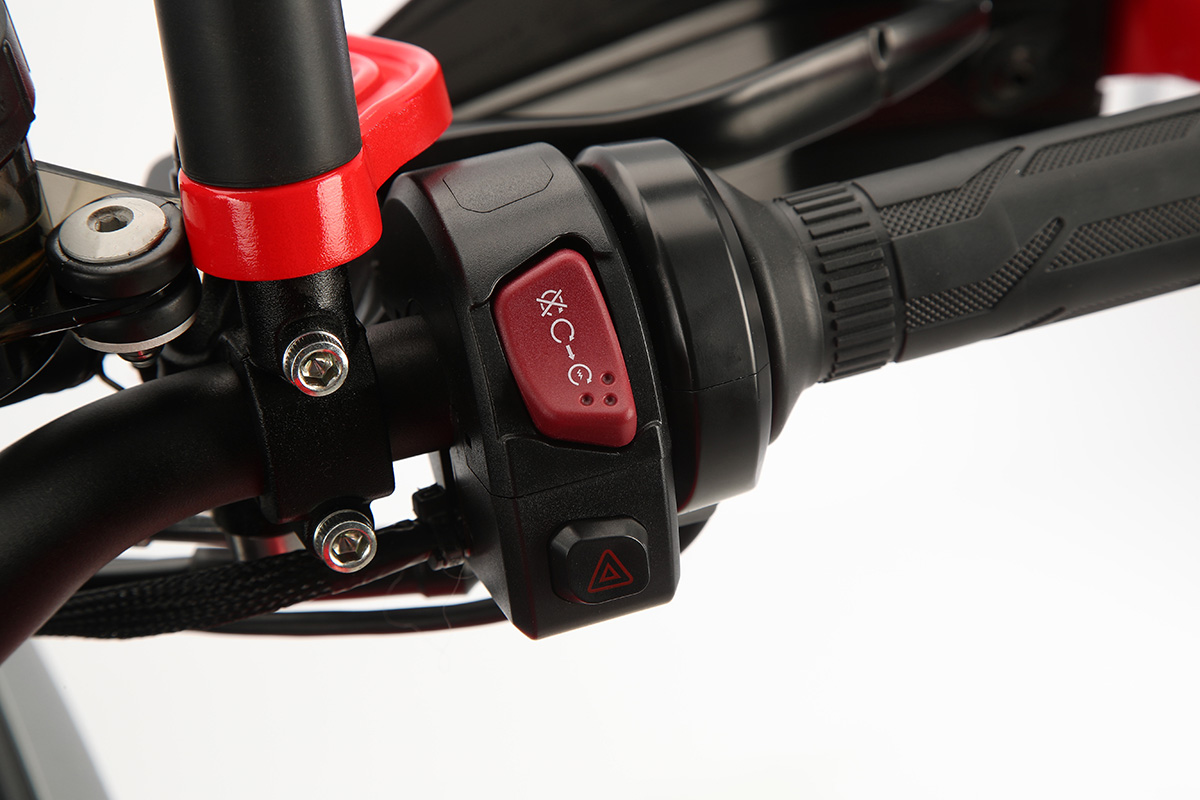 QJ MOTOR SRT 600 SX
