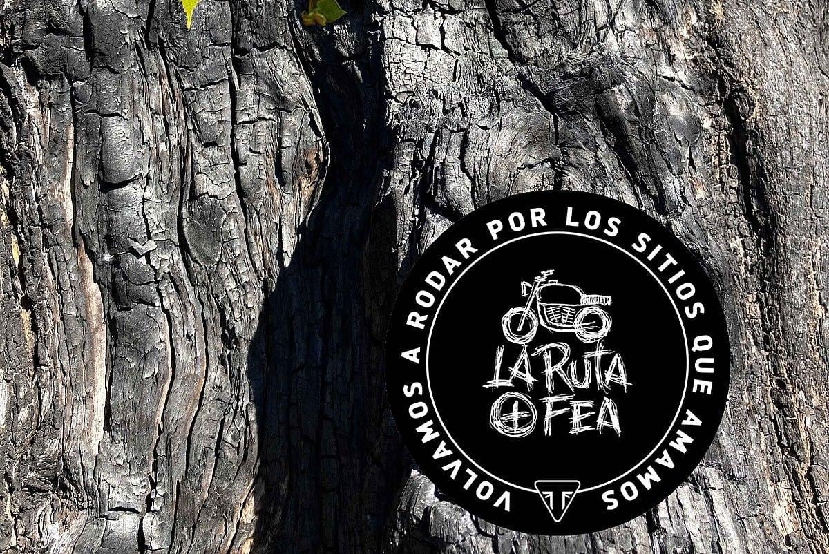 Triumph y La Ruta + Fea: apoyemos a las zonas devastadas por los incendios