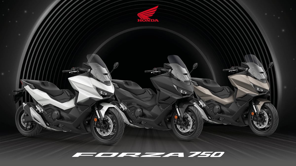 Honda X-ADV y Forza 750 2026: ¡nuevos colores en otoño!
