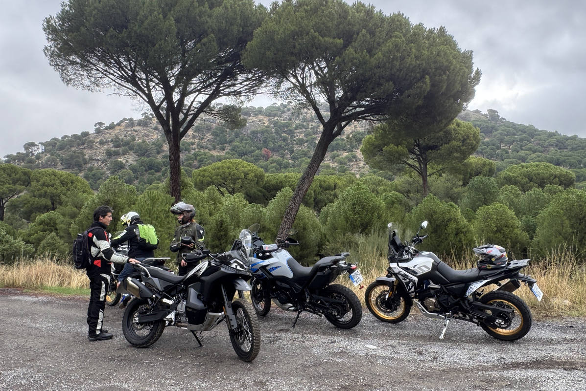 Voge DS 800 Rally, Kove 800 X Pro, CF Moto 800 MT-X, QJ Motor SRT 900 y Zontes 703 F… ¡frente a frente!
