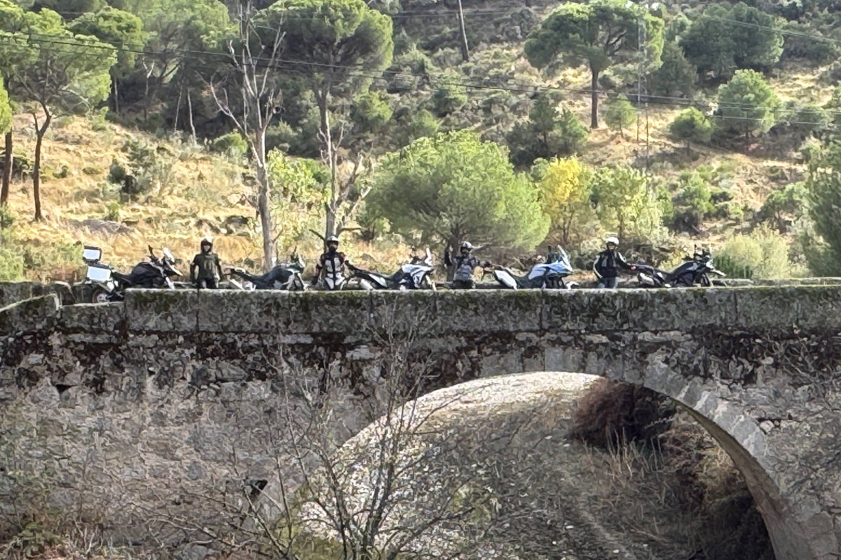 Voge DS 800 Rally, Kove 800 X Pro, CF Moto 800 MT-X, QJ Motor SRT 900 y Zontes 703 F… ¡frente a frente!