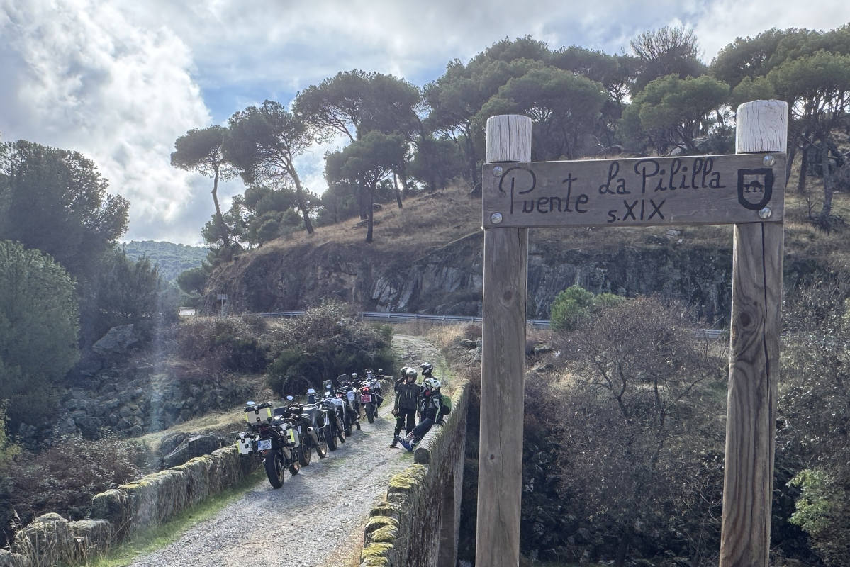 Voge DS 800 Rally, Kove 800 X Pro, CF Moto 800 MT-X, QJ Motor SRT 900 y Zontes 703 F… ¡frente a frente!