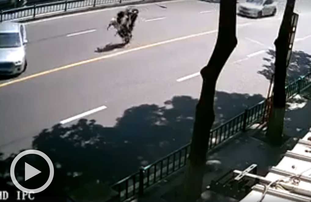 [VÍDEO] El colmo de la inconsciencia en moto: tres sin casco y… ¡zasca!