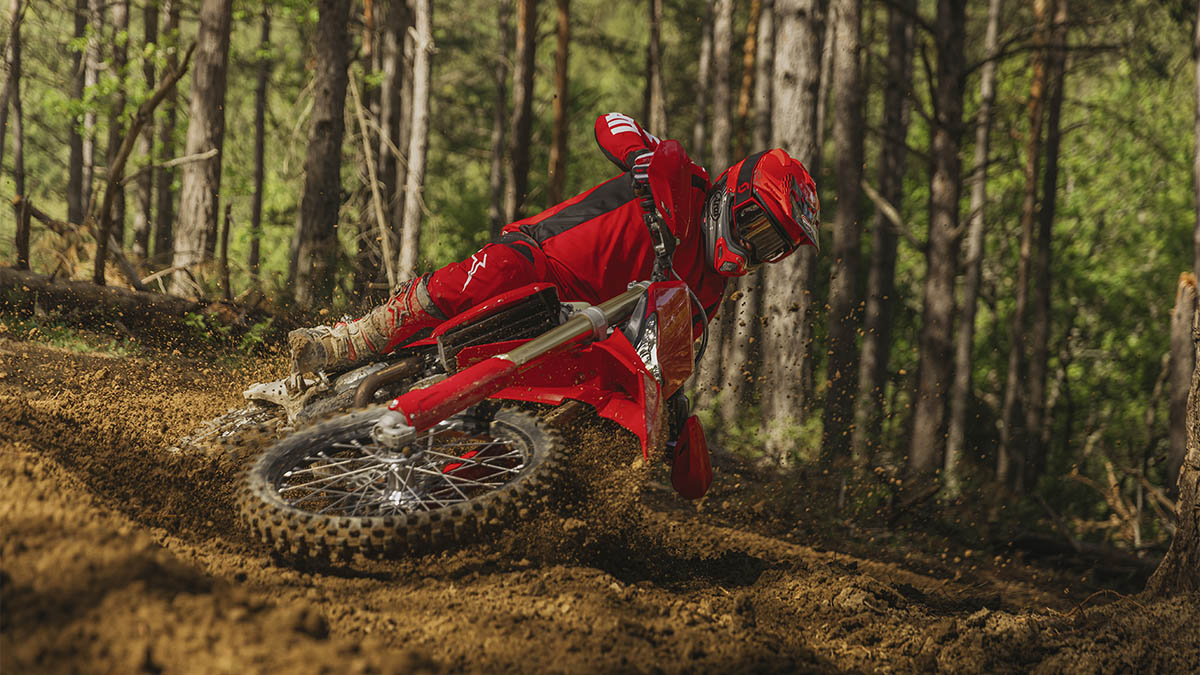 Ducati Desmo450 EDS, la enduro de Ducati ya está a la venta