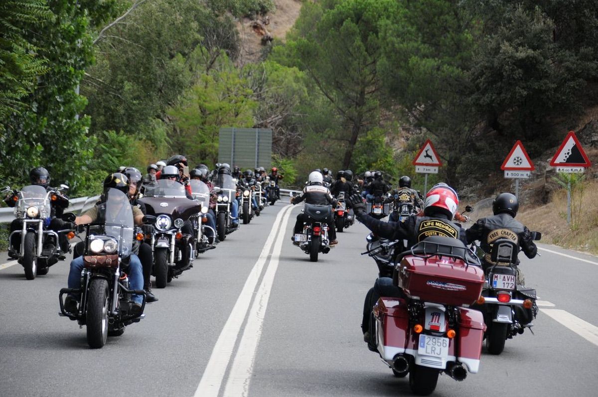 Vuelve el Harley-Davidson KM0: no te quedes sin tu plaza