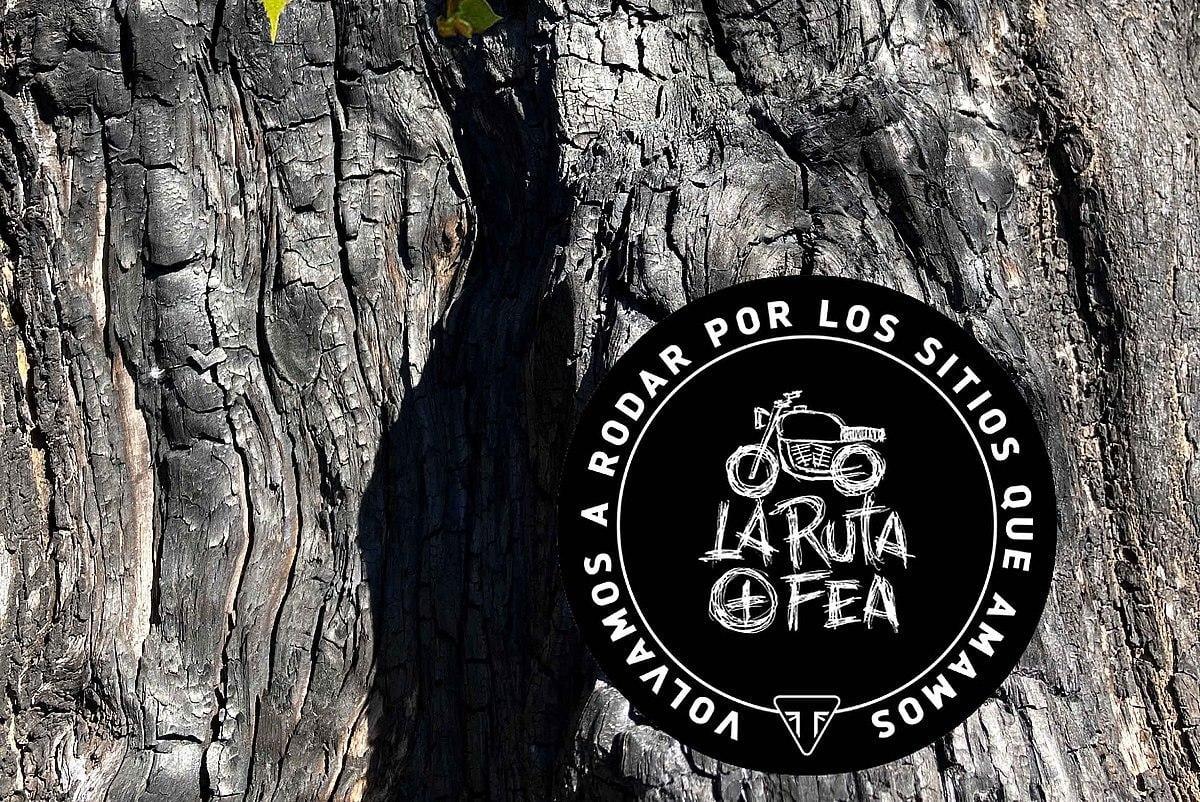 Triumph y La Ruta + Fea: apoyemos a las zonas devastadas por los incendios