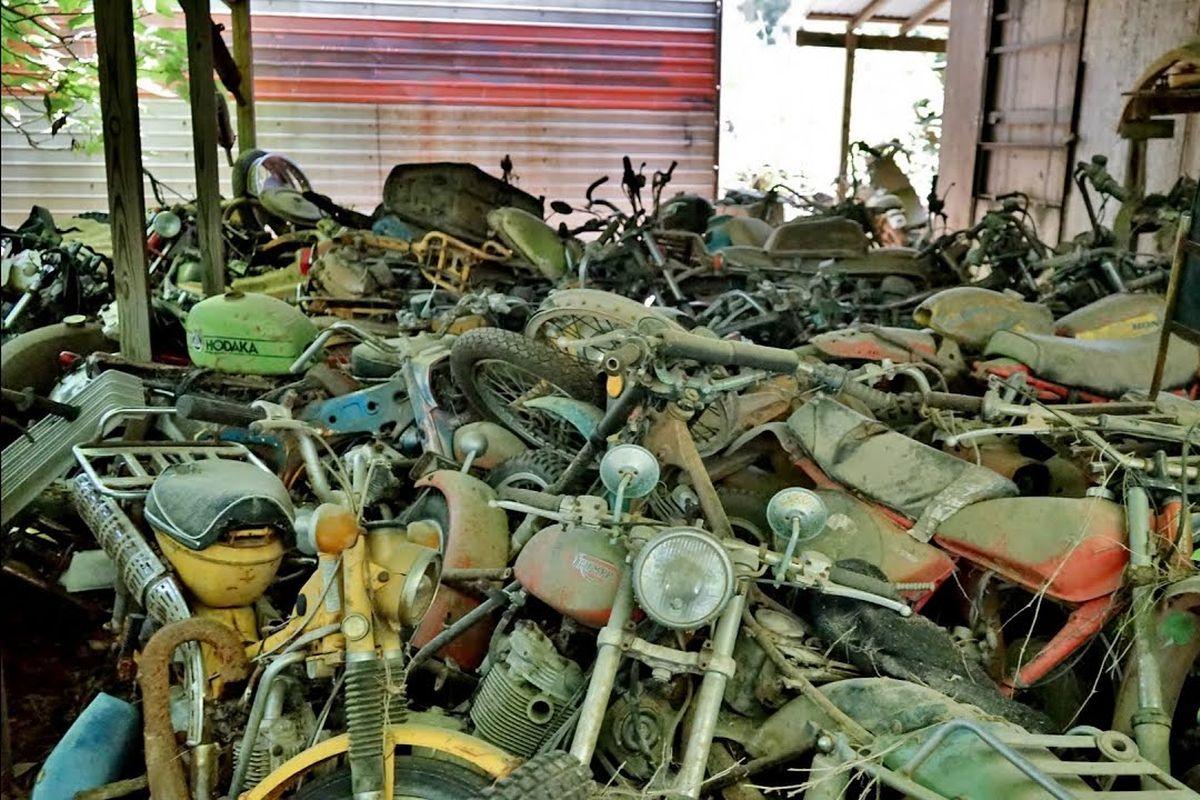 El bosque encantado: 3000 motos y todas están a la venta