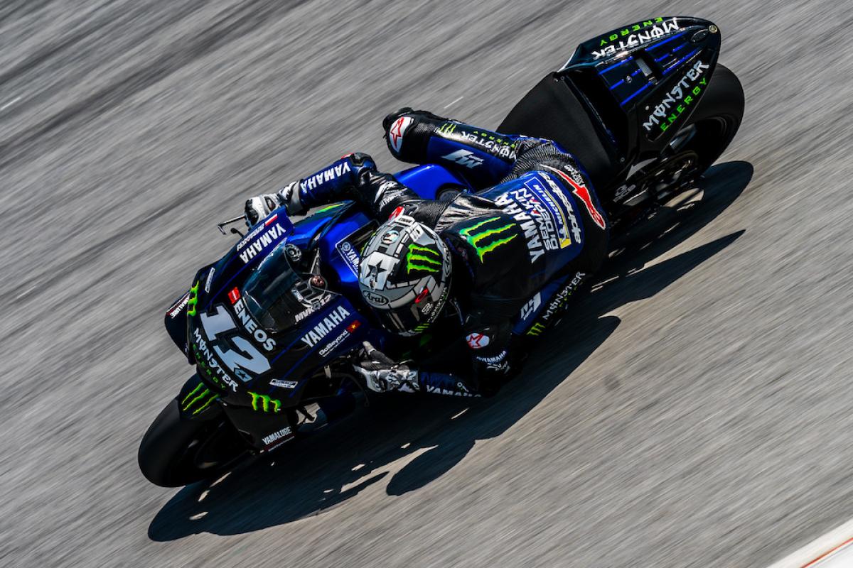 Rossi 2019
