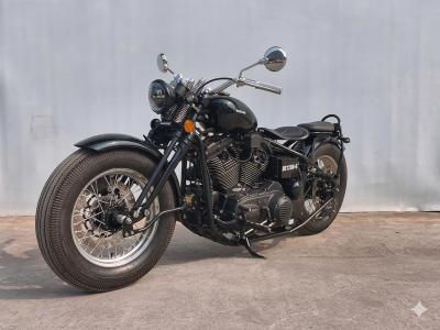 Bashan 1200: custom china con motor copia de las añoradas HD Sportster